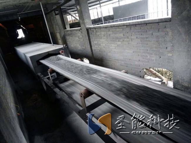 圣能科技<a href='http://m.wen-link.cn' target='_blank'><u>電子皮帶秤</u></a>項(xiàng)目