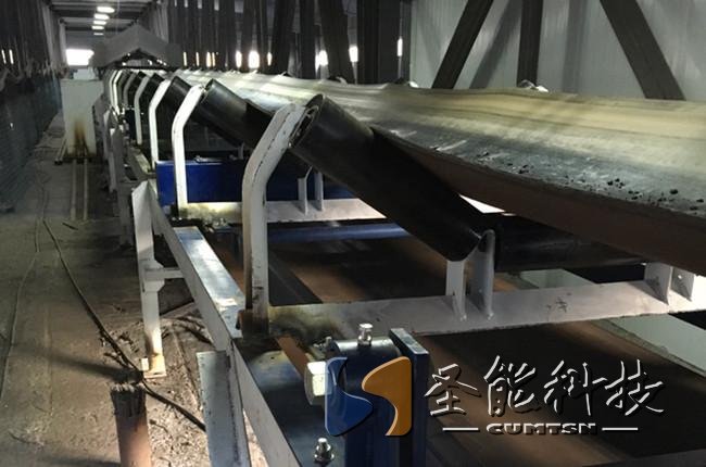 圣能科技<a href='http://m.wen-link.cn/' target='_blank'><u>皮帶秤</u></a>案例