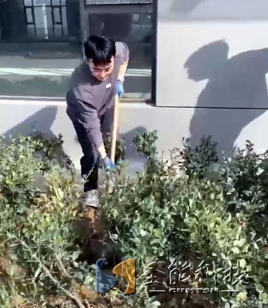 “植”此青綠，添彩圣能靜待花開